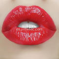 Brillo de labios Color en polvo Pigmento orgánico Rojo